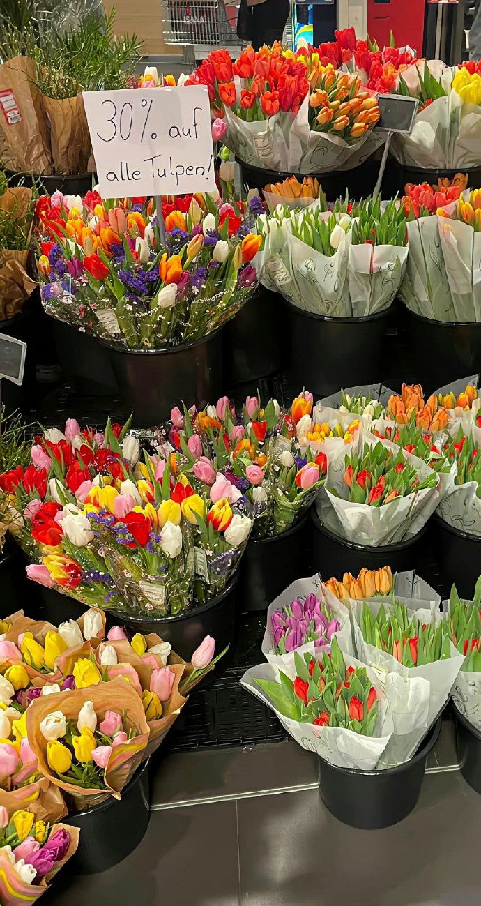 建议收藏|高清唯美的花朵手机壁纸图片最新款2023|春天是买花的季节